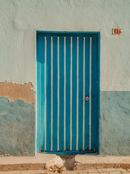 multilingual_staff_consultation