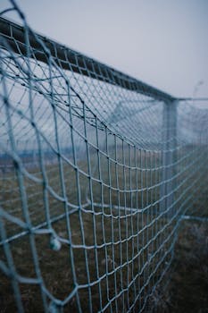 payment_verification