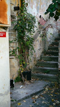 Dragon Legend bonuses and paytable