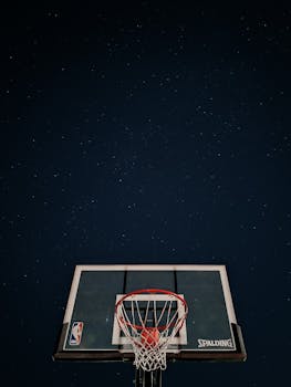 {indie game developer}