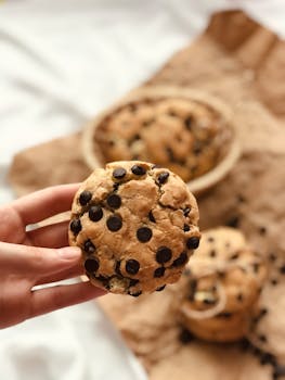 expert_contributions