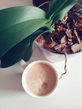 baccarat game action