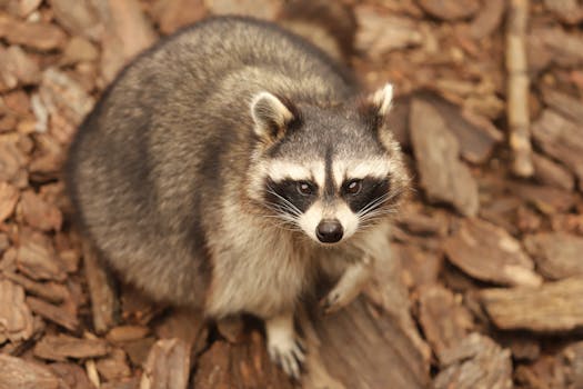 two-factor authentication