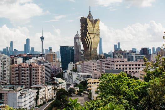 people playing casino