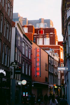 open world exploration