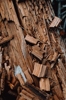 neon casino lighting