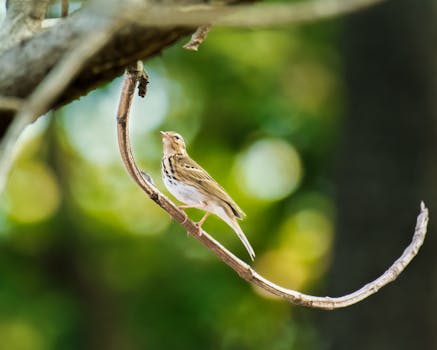 virtual world fashion center