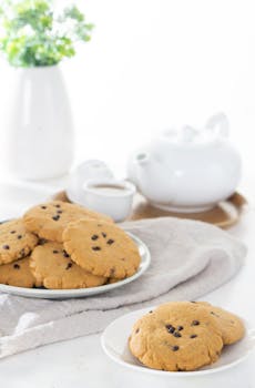 crowd entertainment show