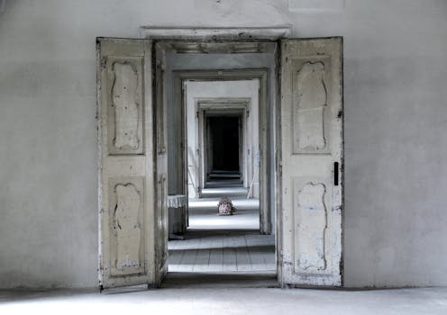 {Live dealer casino}