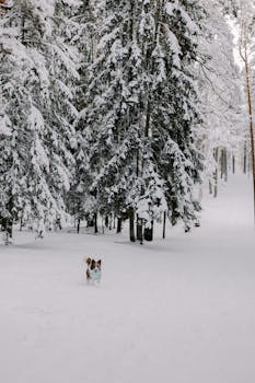 {carnival fishing game}