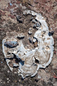 luxury casino exterior