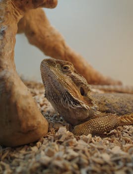 digital wallet casino payment