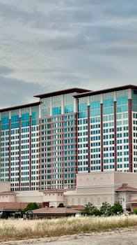 LINE Platform Overview