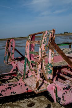 education platform interface