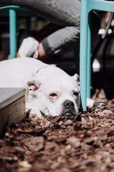 Casino lobby interior